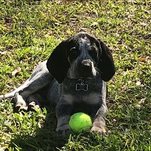 Meet your Posher, John